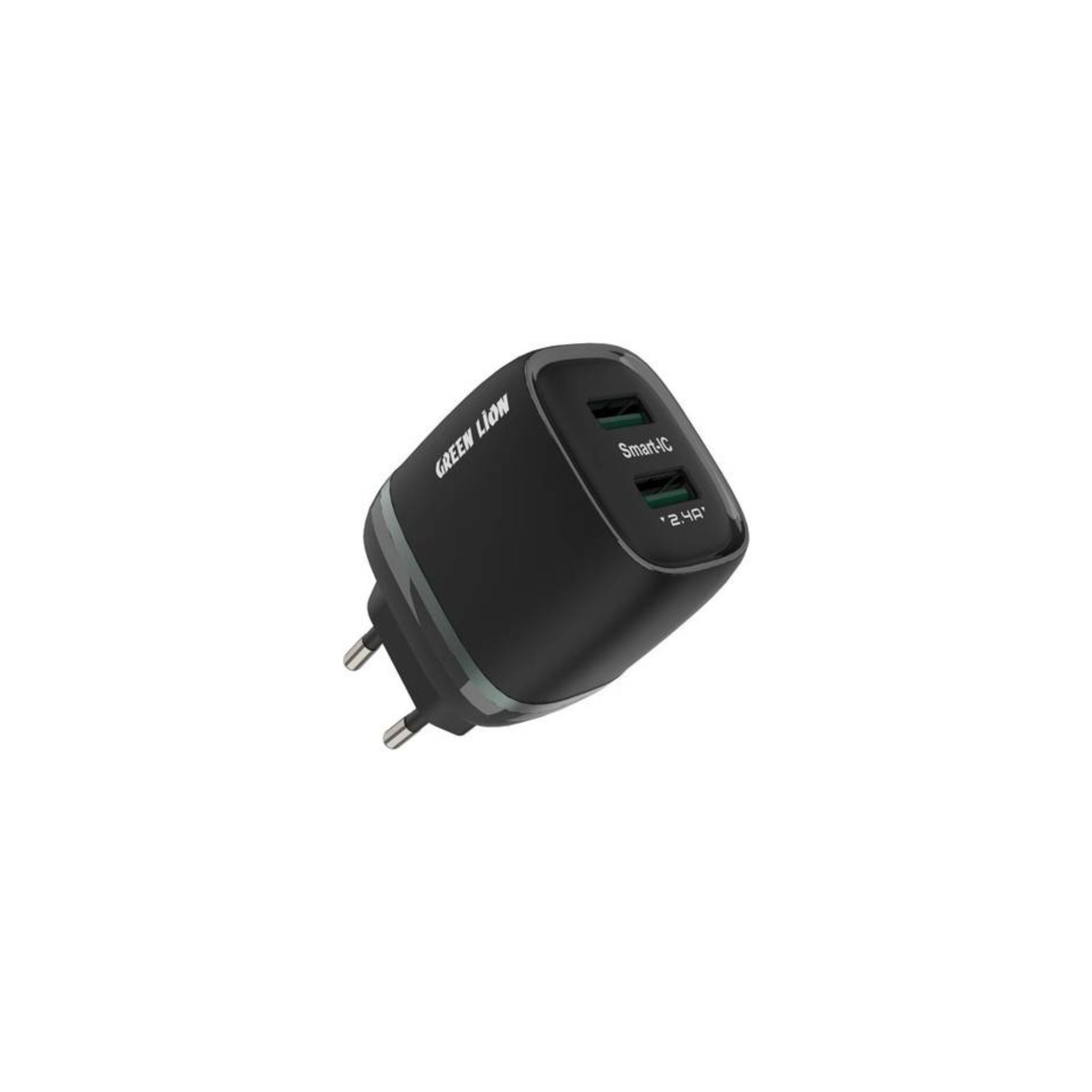 A black Green Lion dual USB wall charger with a EU plug and two USB-A ports on the front, alongside a USB-C cable.